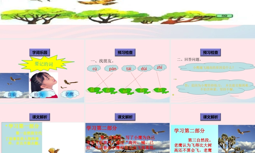 一年级语文下册 阅读九 第18课《小鹰学飞》课件 教科版-教科版小学一年级下册语文课件