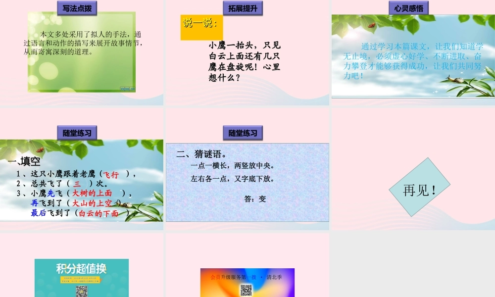 一年级语文下册 阅读九 第18课《小鹰学飞》课件 教科版-教科版小学一年级下册语文课件