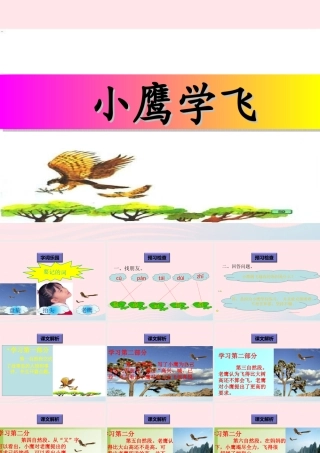 一年级语文下册 阅读九 第18课《小鹰学飞》课件 教科版-教科版小学一年级下册语文课件