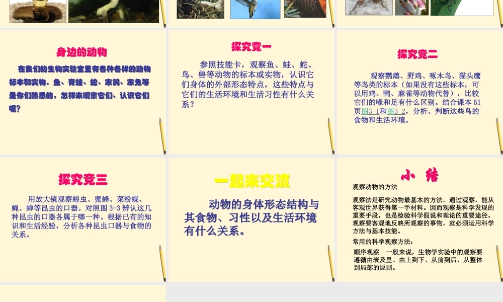 三年级科学下册 多样的动物课件 青岛版