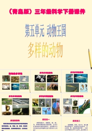 三年级科学下册 多样的动物课件 青岛版