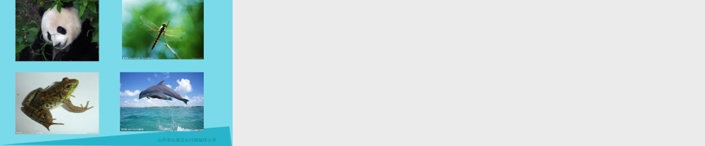 三年级科学上册 第一章 第2课 校园里的动物课件2 新人教版-新人教版小学三年级上册自然科学课件