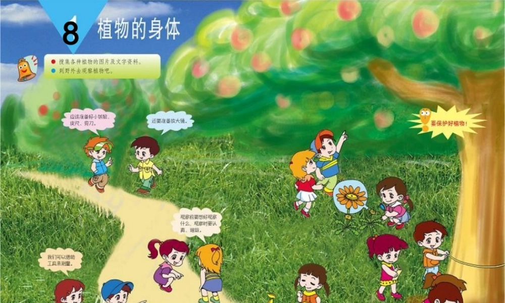 三年级科学下册 二 植物的生长 第3课《植物的身体》课件1 新人教版-新人教级下册自然科学课件