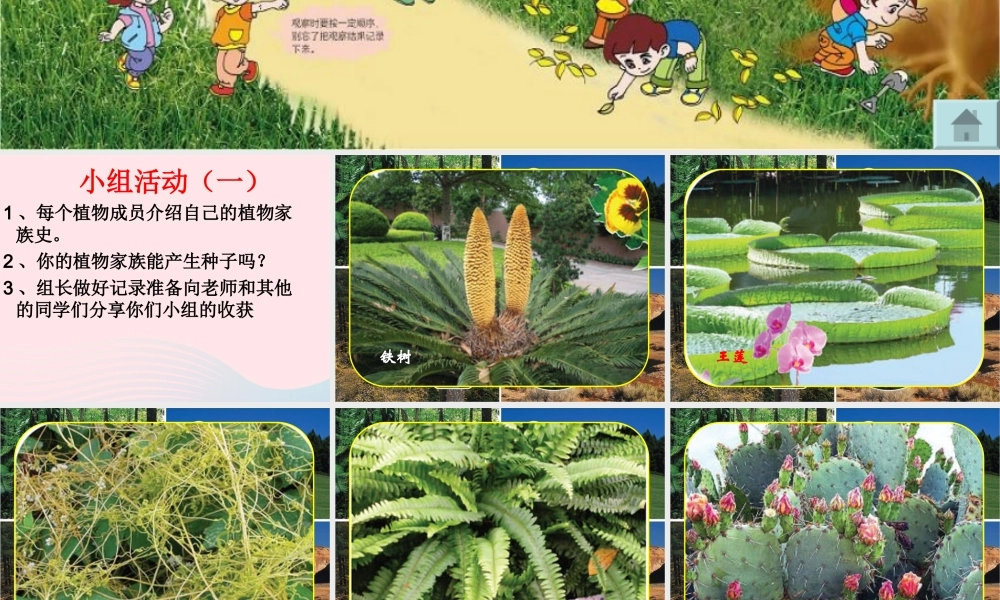 三年级科学下册 二 植物的生长 第3课《植物的身体》课件1 新人教版-新人教级下册自然科学课件