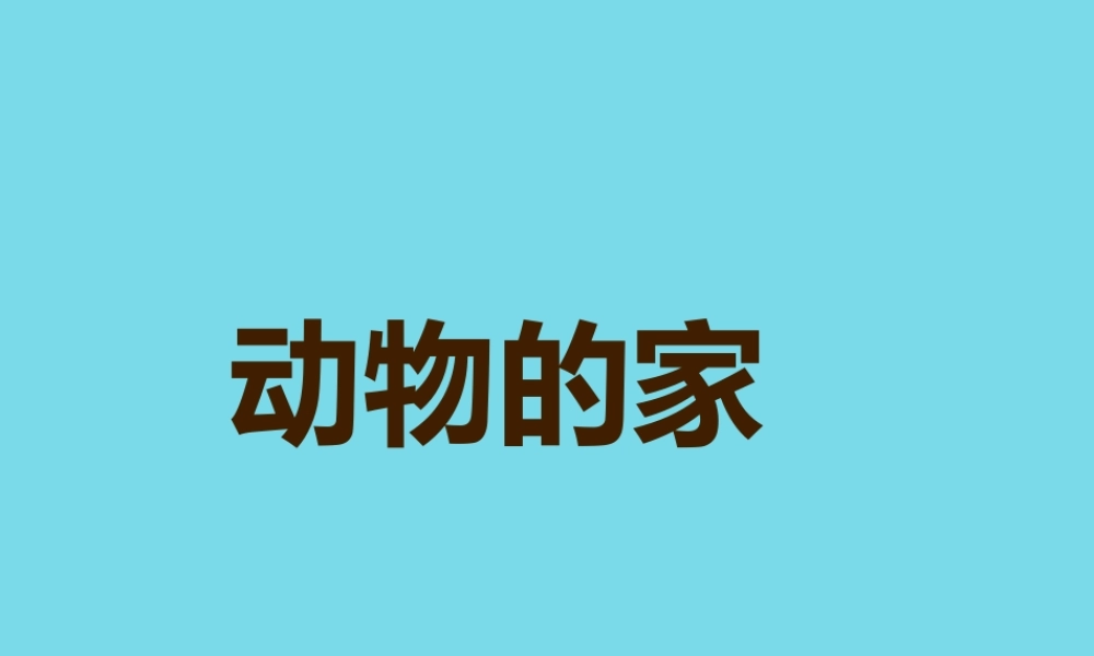 三年级科学上册 第一章 第3课 动物的家课件1 新人教版-新人教版小学三年级上册自然科学课件