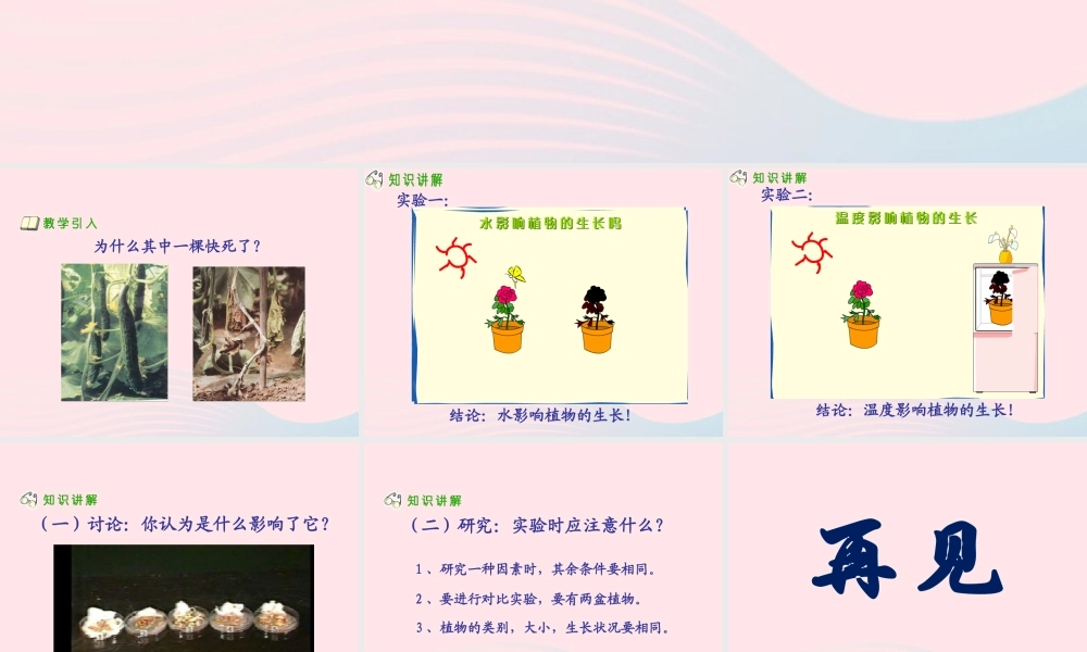 三年级科学下册 二 植物的生长 第4课《是什么在影响植物生长》课件 新人教版-新人教版小学三年级下册自然科学课件