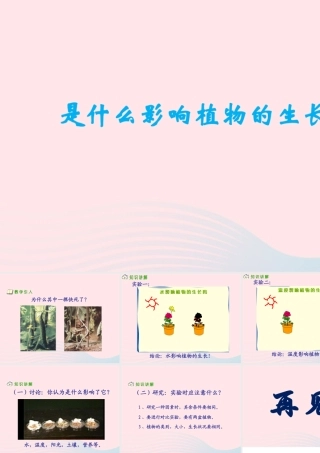 三年级科学下册 二 植物的生长 第4课《是什么在影响植物生长》课件 新人教版-新人教版小学三年级下册自然科学课件