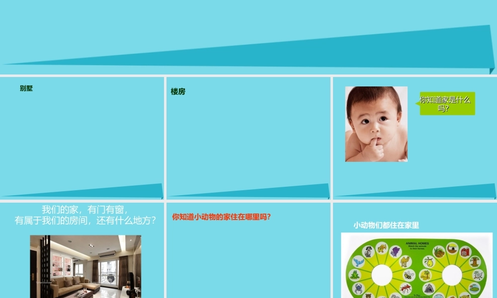 三年级科学上册 第一章 第3课 动物的家课件2 新人教版-新人教版小学三年级上册自然科学课件