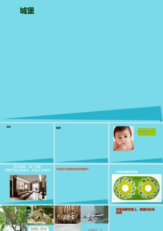 三年级科学上册 第一章 第3课 动物的家课件2 新人教版-新人教版小学三年级上册自然科学课件