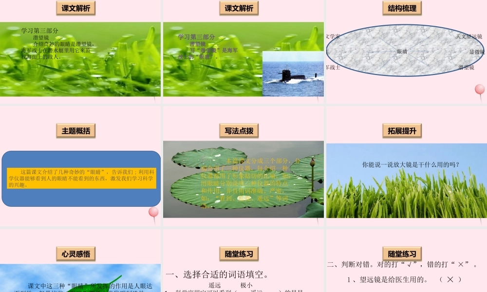 一年级语文下册 阅读六《奇妙的眼睛》课件1 教科版-教科版小学一年级下册语文课件