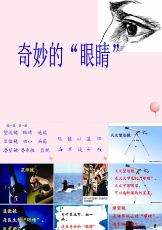 一年级语文下册 阅读六《奇妙的眼睛》课件2 教科版-教科版小学一年级下册语文课件