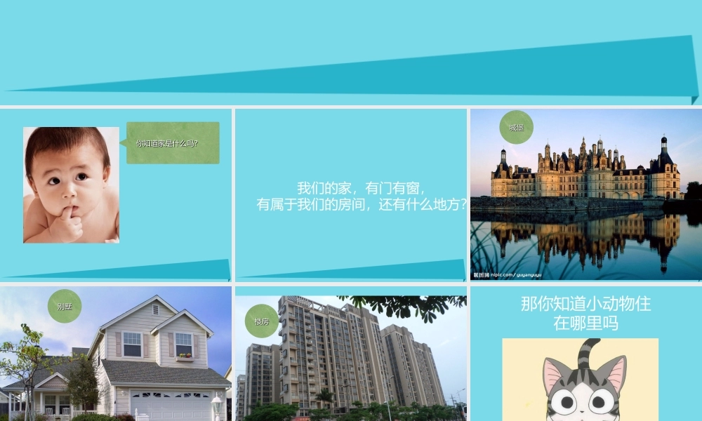 三年级科学上册 第一章 第3课 动物的家课件3 新人教版-新人教版小学三年级上册自然科学课件