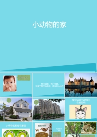 三年级科学上册 第一章 第3课 动物的家课件3 新人教版-新人教版小学三年级上册自然科学课件