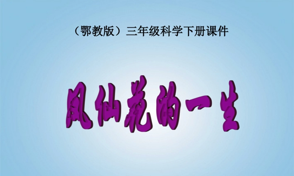 三年级科学下册 凤仙花的一生1课件 鄂教版