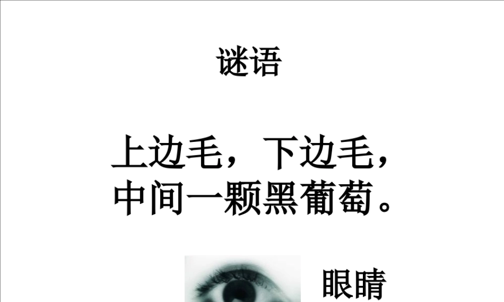 一年级语文下册 阅读六《奇妙的眼睛》课件3 教科版-教科版小学一年级下册语文课件