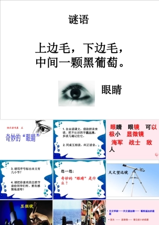 一年级语文下册 阅读六《奇妙的眼睛》课件3 教科版-教科版小学一年级下册语文课件