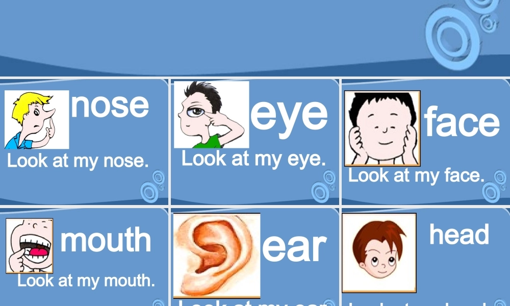三年级英语上册 lLesson18课件 人教新版