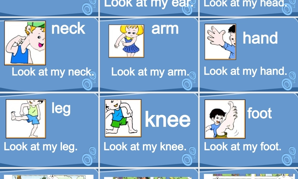 三年级英语上册 lLesson18课件 人教新版