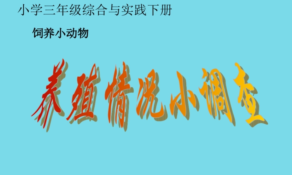 三年级科学上册 第一章 第4课 饲养小动物课件1 新人教版-新人教版小学三年级上册自然科学课件