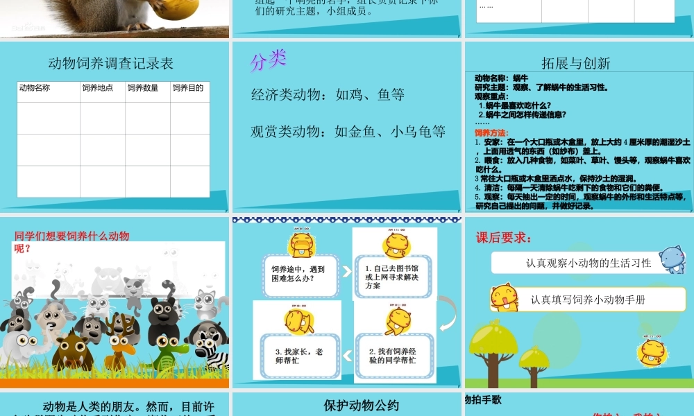 三年级科学上册 第一章 第4课 饲养小动物课件1 新人教版-新人教版小学三年级上册自然科学课件