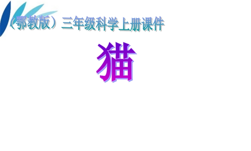 三年级科学上册 猫课件 冀教版