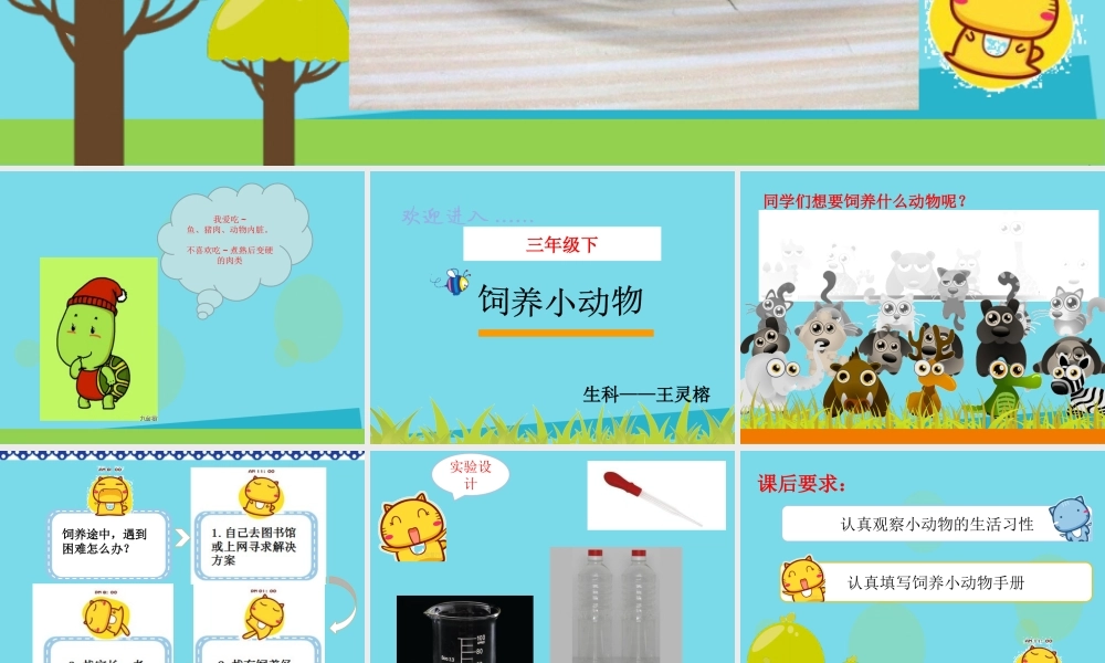 三年级科学上册 第一章 第4课 饲养小动物课件2 新人教版-新人教版小学三年级上册自然科学课件