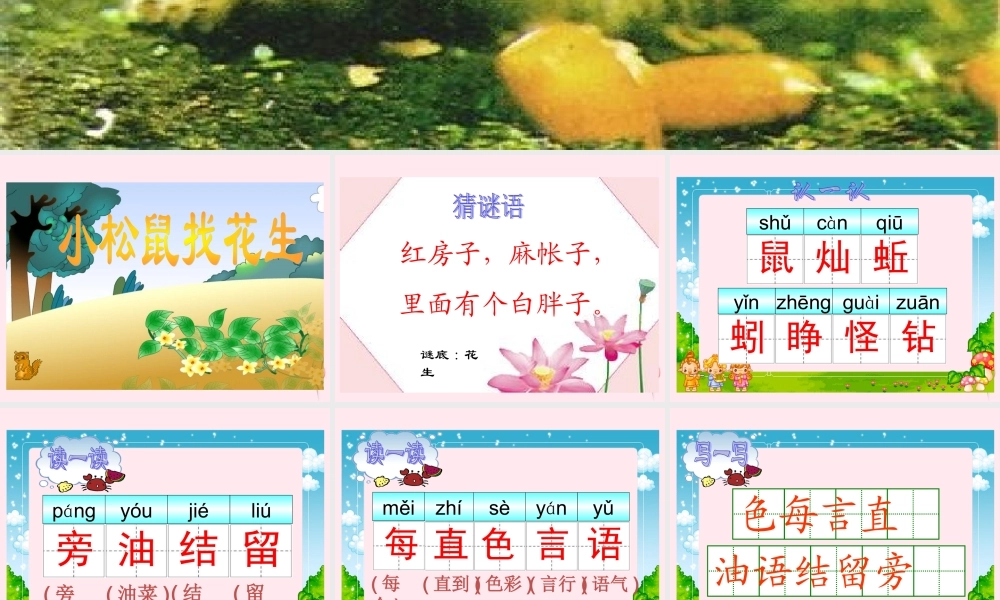 一年级语文下册 阅读七 第13课《小松鼠找花生》课件 教科版-教科版小学一年级下册语文课件