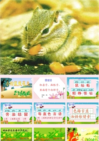 一年级语文下册 阅读七 第13课《小松鼠找花生》课件 教科版-教科版小学一年级下册语文课件