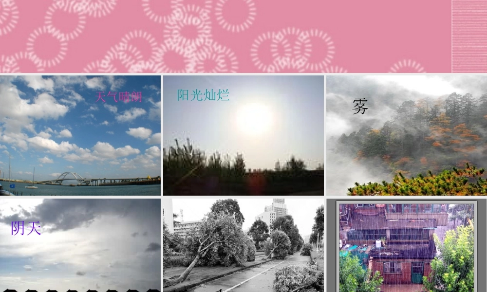 三年级科学下册 关心天气 2课件 首师大版