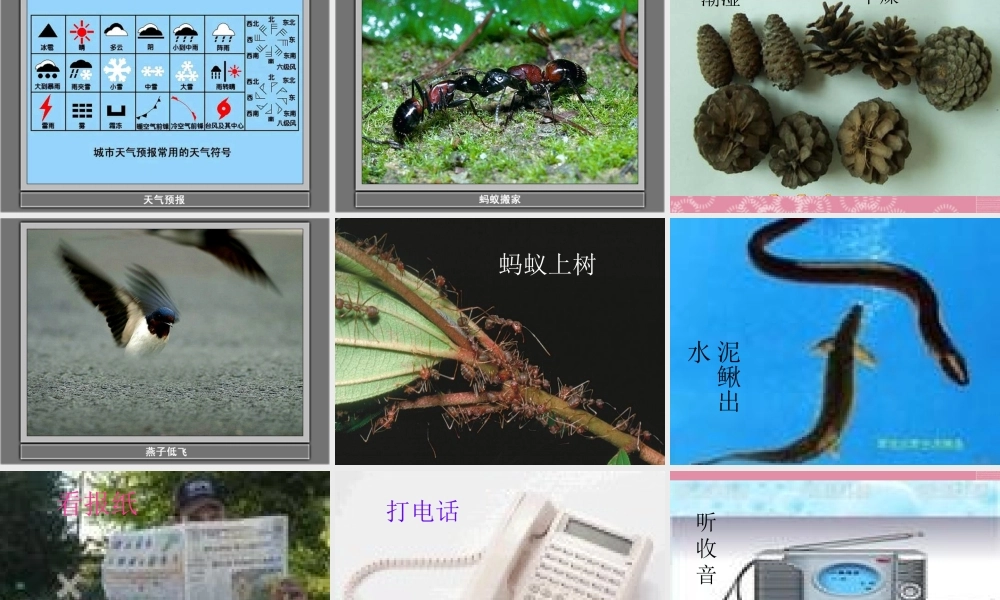 三年级科学下册 关心天气 2课件 首师大版