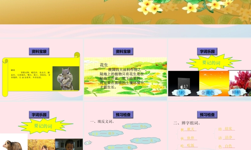 一年级语文下册 阅读七 第13课《小松鼠找花生》课件1 教科版-教科版小学一年级下册语文课件