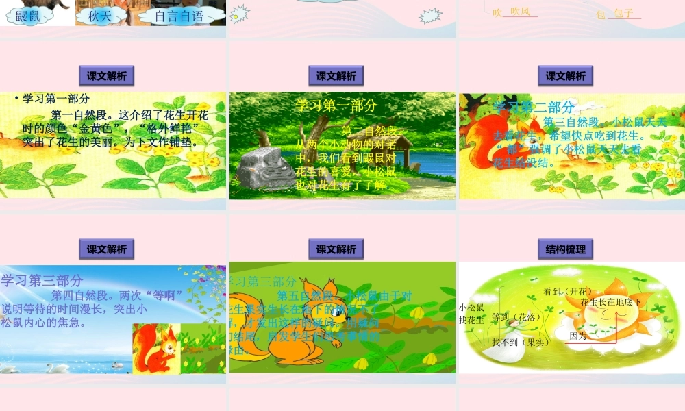 一年级语文下册 阅读七 第13课《小松鼠找花生》课件1 教科版-教科版小学一年级下册语文课件