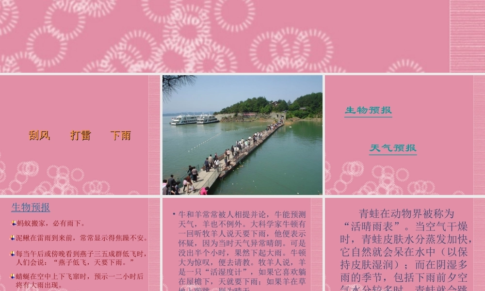 三年级科学下册 关心天气 4课件 首师大版