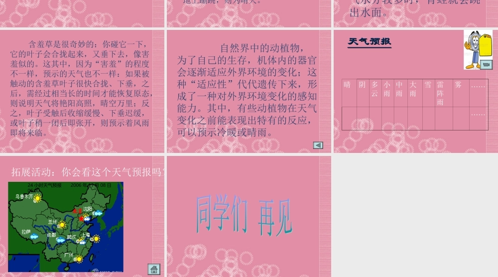 三年级科学下册 关心天气 4课件 首师大版