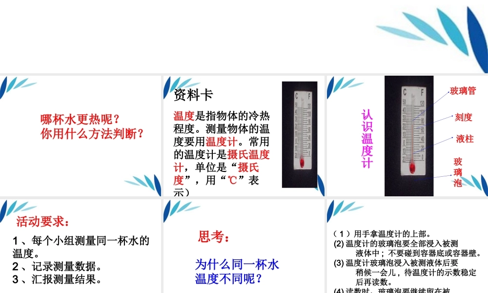 三年级科学上册 哪杯水更热课件2 青岛版