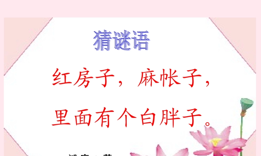 一年级语文下册 阅读七 第13课《小松鼠找花生》课件2 教科版-教科版小学一年级下册语文课件