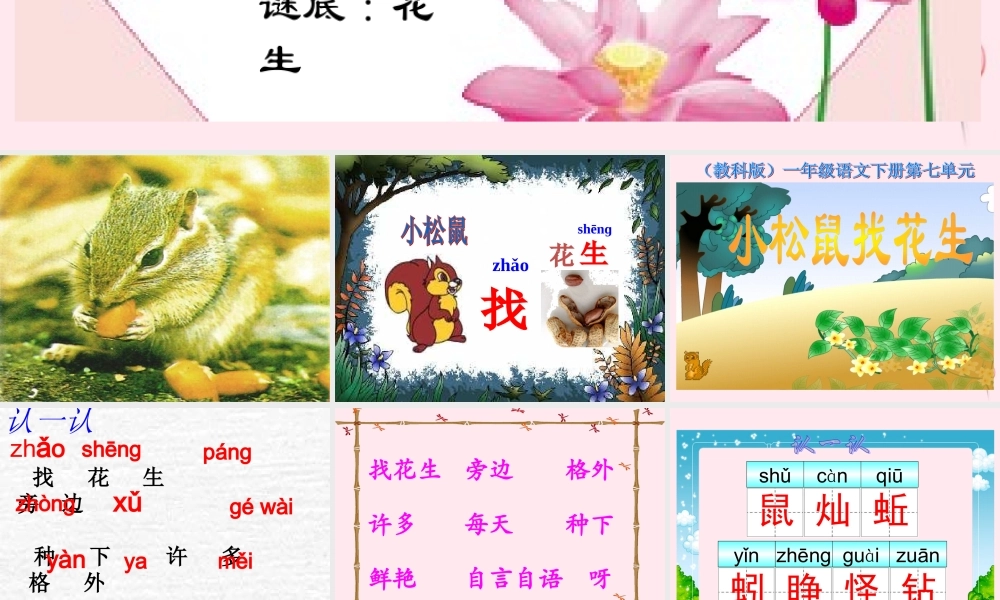 一年级语文下册 阅读七 第13课《小松鼠找花生》课件2 教科版-教科版小学一年级下册语文课件