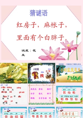一年级语文下册 阅读七 第13课《小松鼠找花生》课件2 教科版-教科版小学一年级下册语文课件