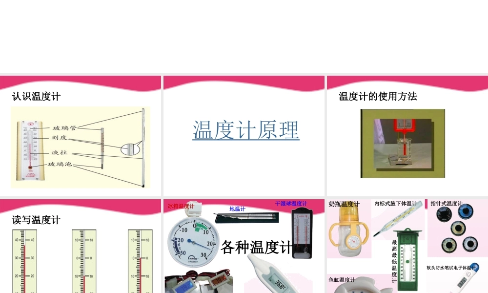 三年级科学上册 哪杯水更热课件3 青岛版