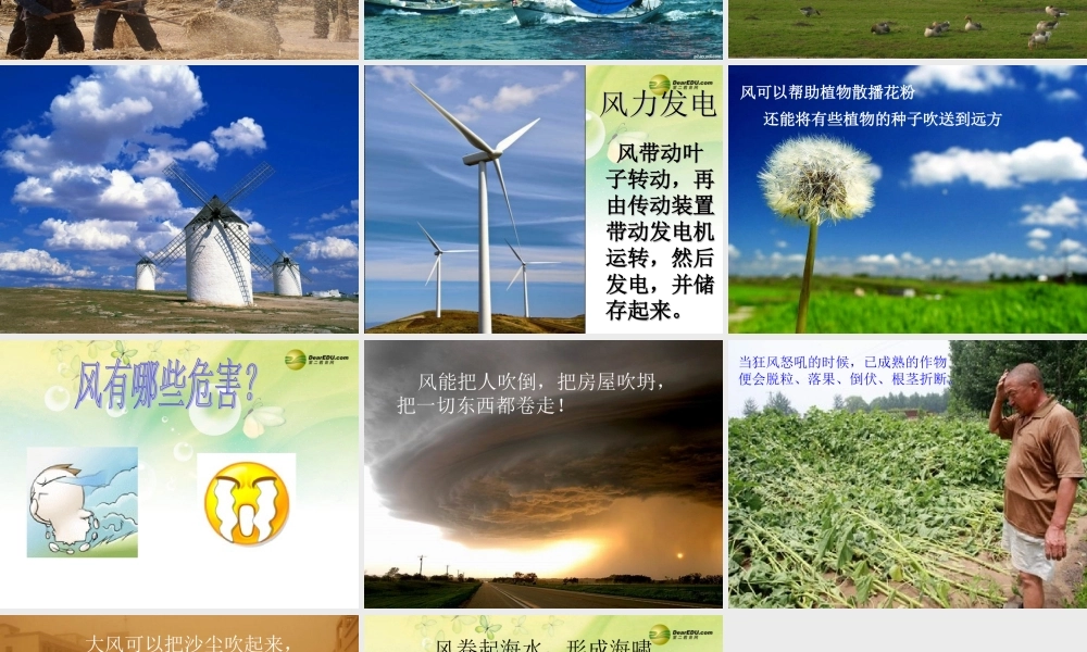 三年级科学下册 可爱又可恨的风课件1 大象版