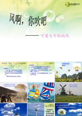 三年级科学下册 可爱又可恨的风课件1 大象版