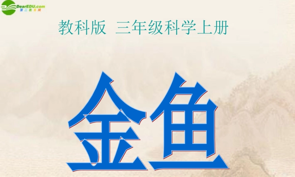 三年级科学上册 金鱼（一）课件 教科版