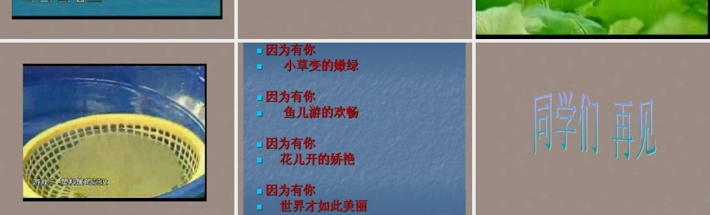 三年级科学上册 神奇的水课件 苏教版