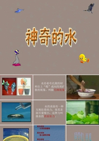 三年级科学上册 神奇的水课件 苏教版