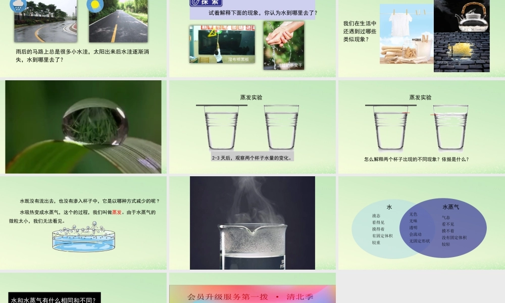 三年级科学上册 水 1 《水到哪里去了》教学课件 教科版-教科版小学三年级上册自然科学课件