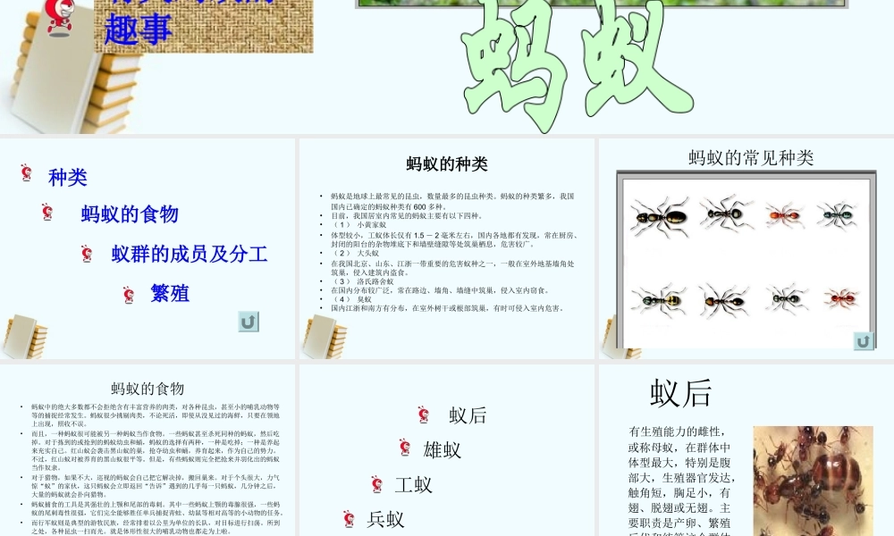 三年级科学上册 蚂蚁 5课件 教科版 