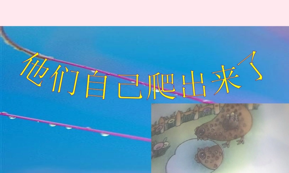 一年级语文下册 阅读七《他们自己爬出来了》课件1 教科版-教科版小学一年级下册语文课件