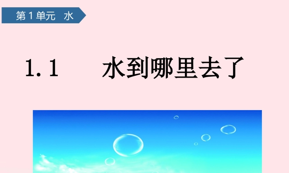 三年级科学上册 水 1水到哪里去了课件 教科版-教科版小学三年级上册自然科学课件