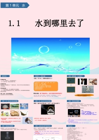 三年级科学上册 水 1水到哪里去了课件 教科版-教科版小学三年级上册自然科学课件