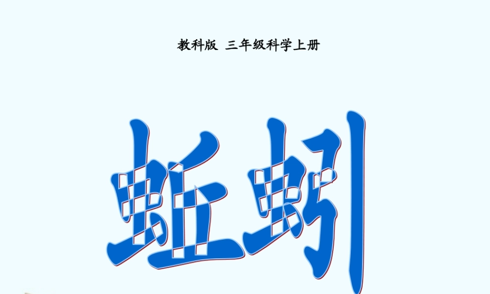 三年级科学上册 蚯蚓课件 教科版 